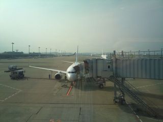 IMG_20140604_160615.jpg